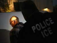 A man is detained by Immigration and Customs Enforcement (ICE), agents early on October 14, 2015 in Los Angeles, California. ICE agents said the undocumented immigrant was a convicted criminal and gang member who had previously been deported to Mexico and would be again. ICE builds deportation cases against thousands of undocumented immigrants, most of whom, they say, have criminal records. The number of ICE detentions and deportations from California has dropped since the state passed the Trust Act in October 2013, which set limits on California law enforcement cooperation with federal immigration authorities. (Photo by John Moore/Getty Images)